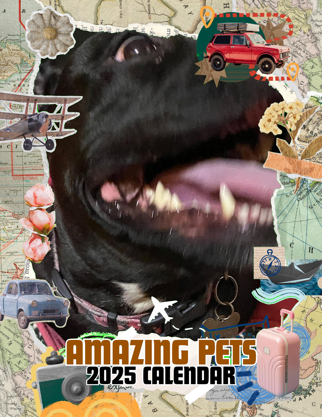 Amazing Pets: 2025 Wall Calendar (Pre-Order)