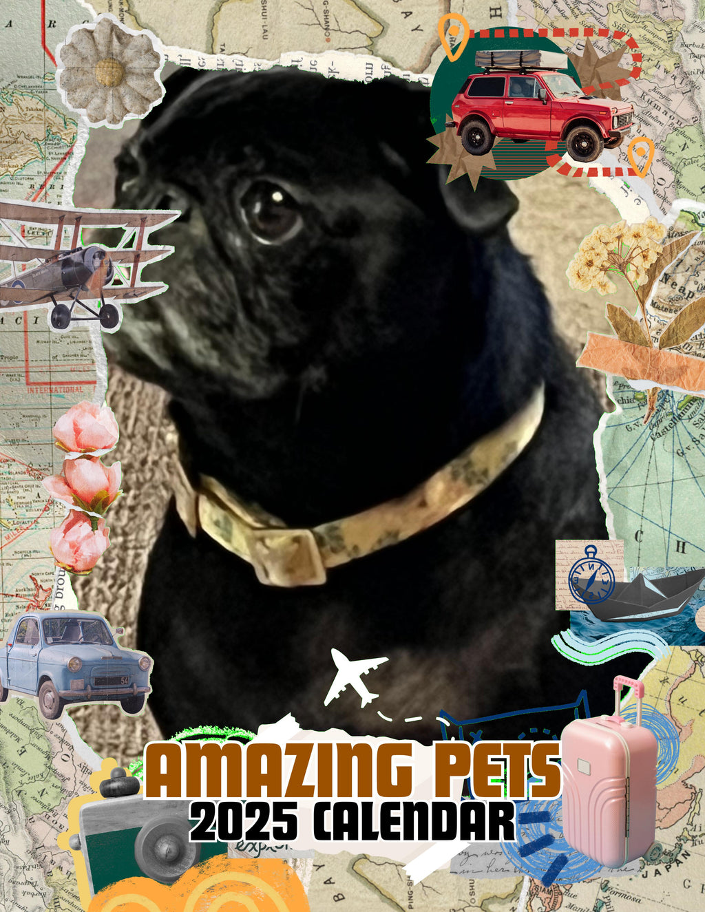 Amazing Pets: 2025 Wall Calendar (Pre-Order)