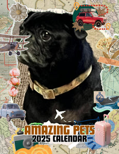 Amazing Pets: 2025 Wall Calendar (Pre-Order)