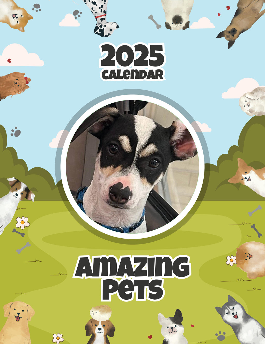 Amazing Pets: 2025 Wall Calendar (Pre-Order)