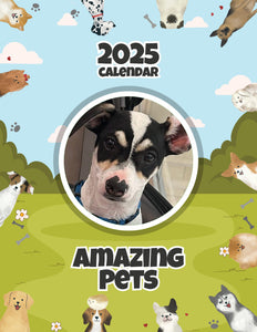 Amazing Pets: 2025 Wall Calendar (Pre-Order)