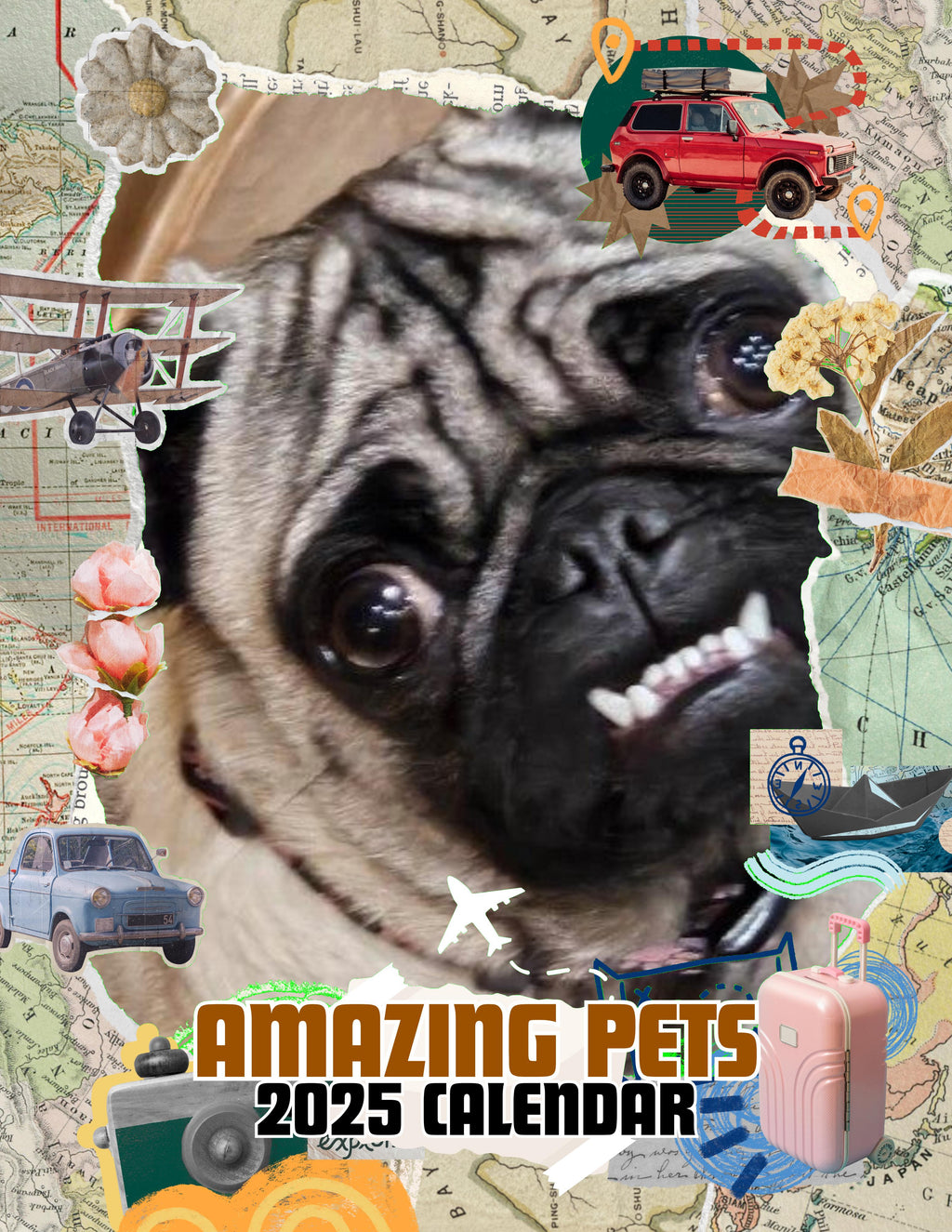 Amazing Pets: 2025 Wall Calendar (Pre-Order)