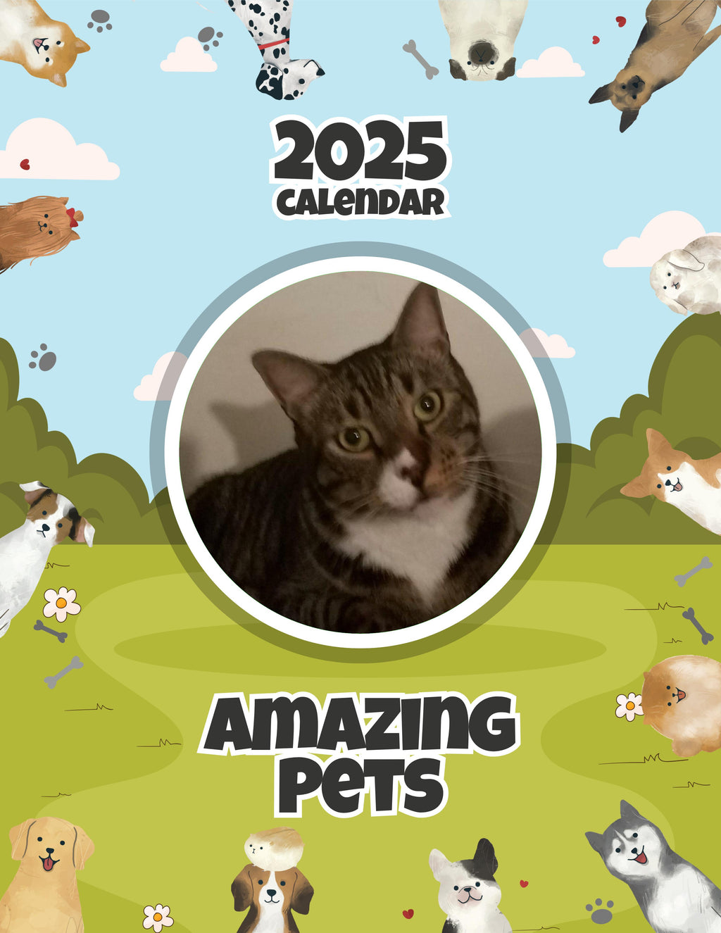 Amazing Pets: 2025 Wall Calendar (Pre-Order)