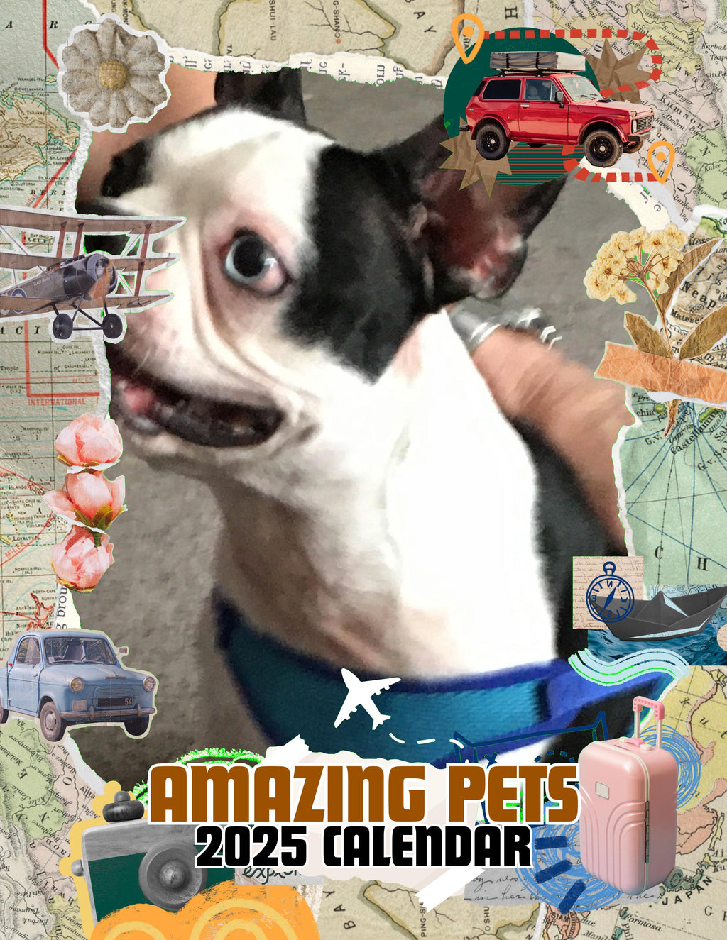 Amazing Pets: 2025 Wall Calendar (Pre-Order)