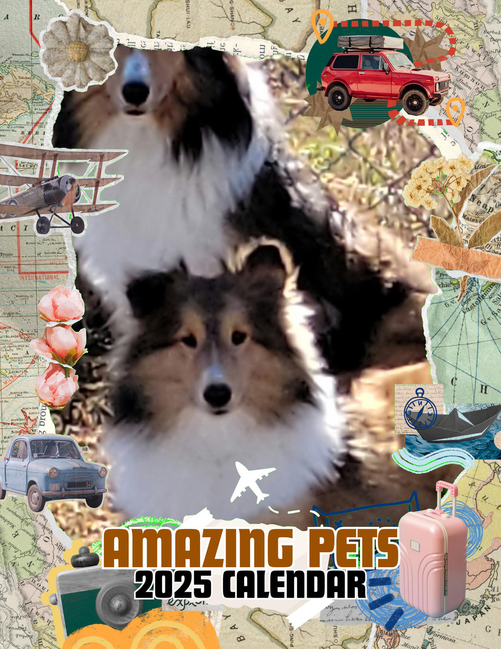 Amazing Pets: 2025 Wall Calendar (Pre-Order)