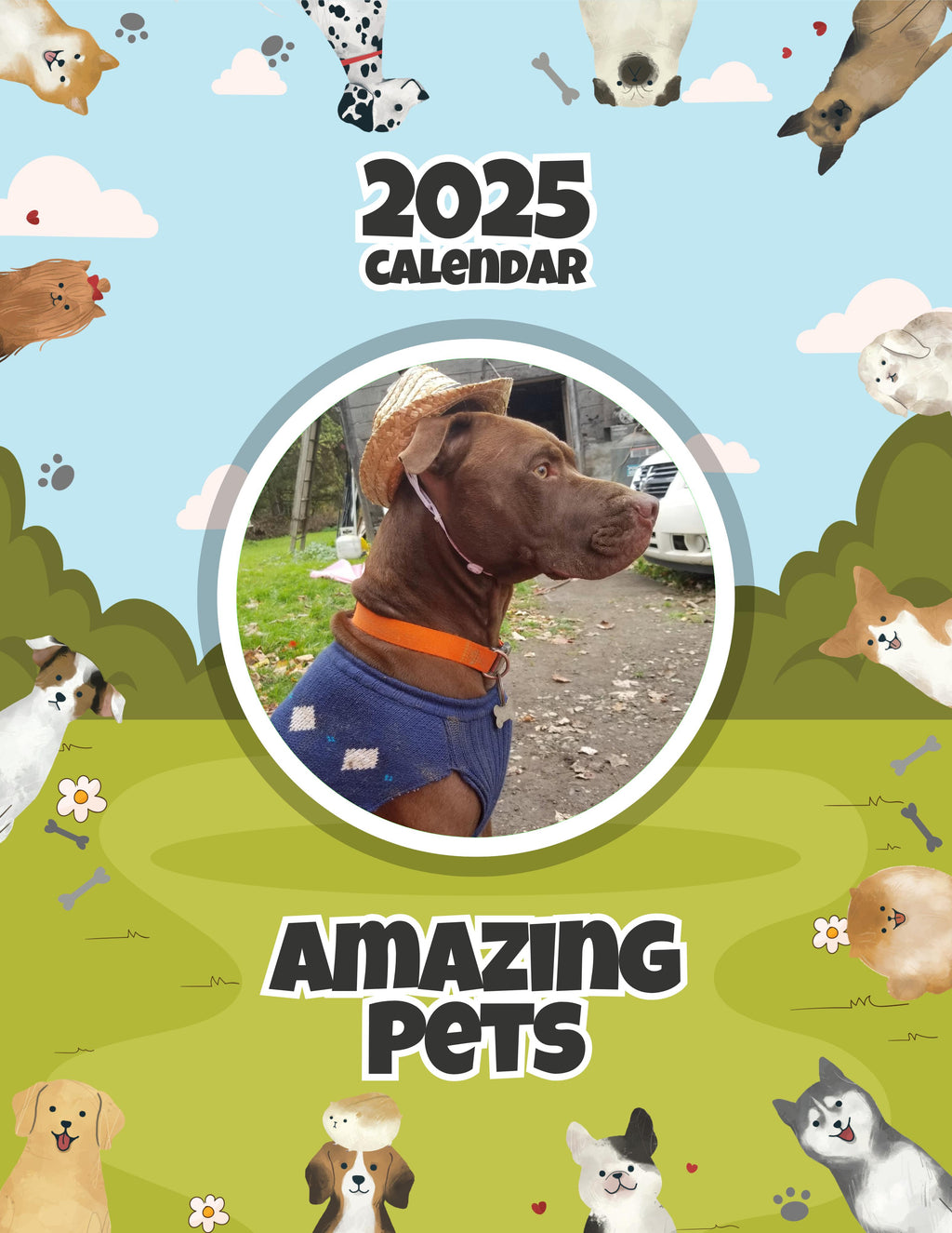 Amazing Pets: 2025 Wall Calendar (Pre-Order)