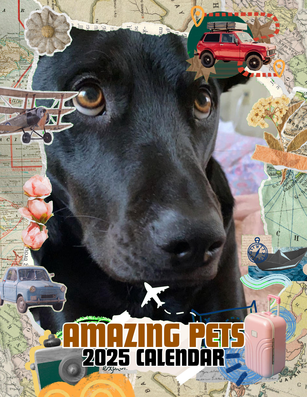 Amazing Pets: 2025 Wall Calendar (Pre-Order)