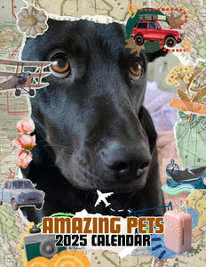 Amazing Pets: 2025 Wall Calendar (Pre-Order)