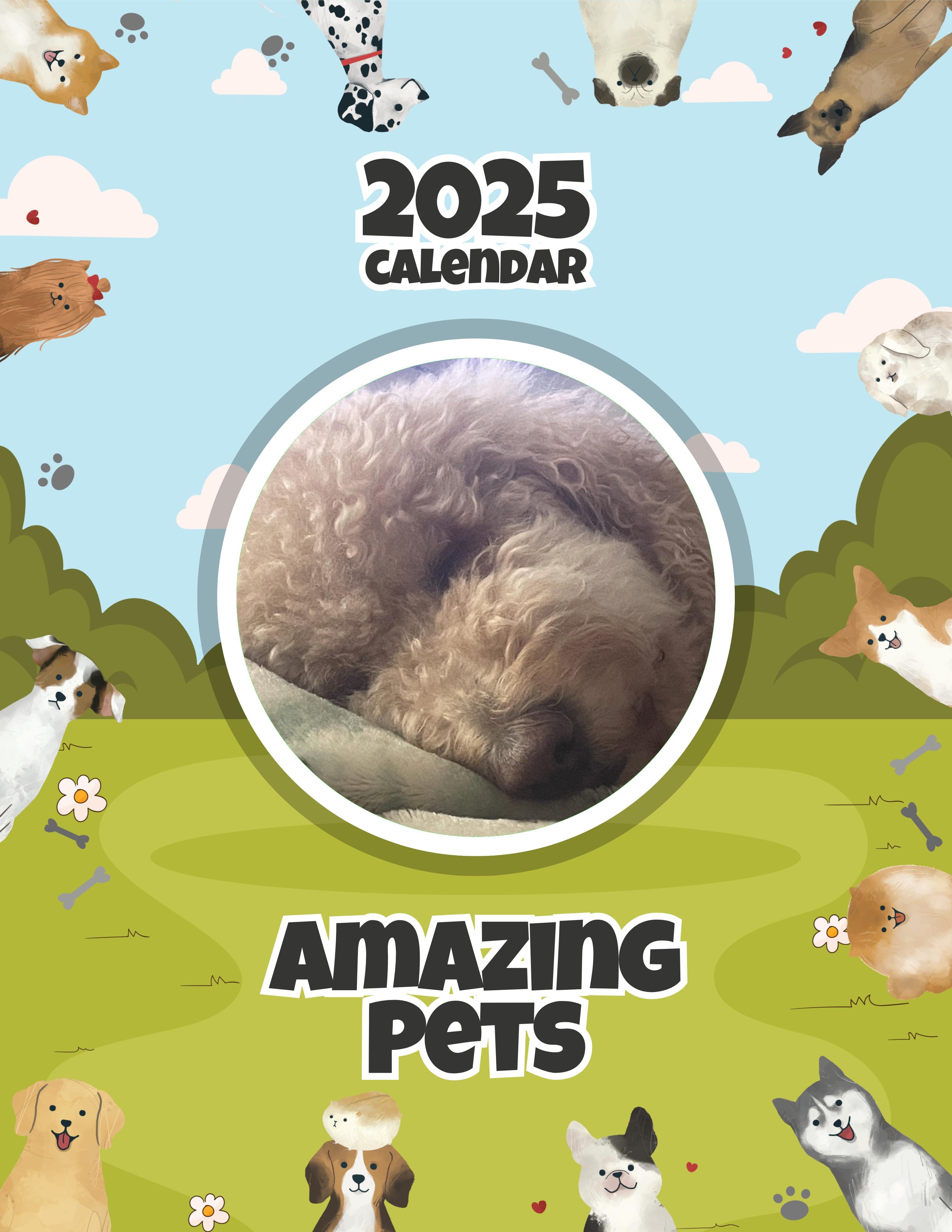 Amazing Pets: 2025 Wall Calendar (Pre-Order)