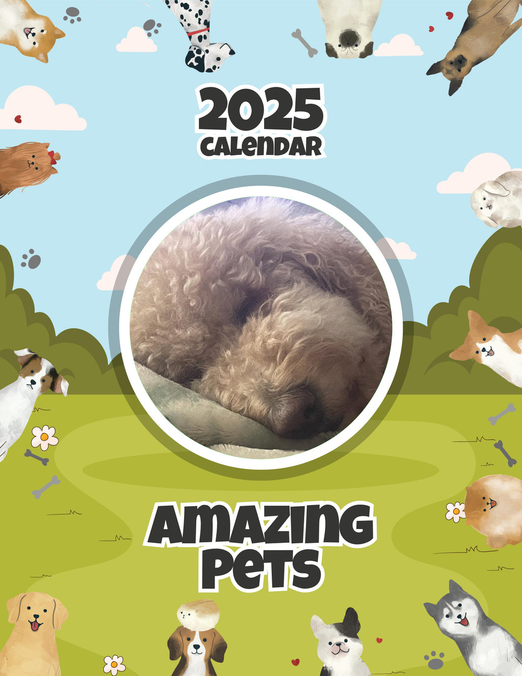 Amazing Pets: 2025 Wall Calendar (Pre-Order)