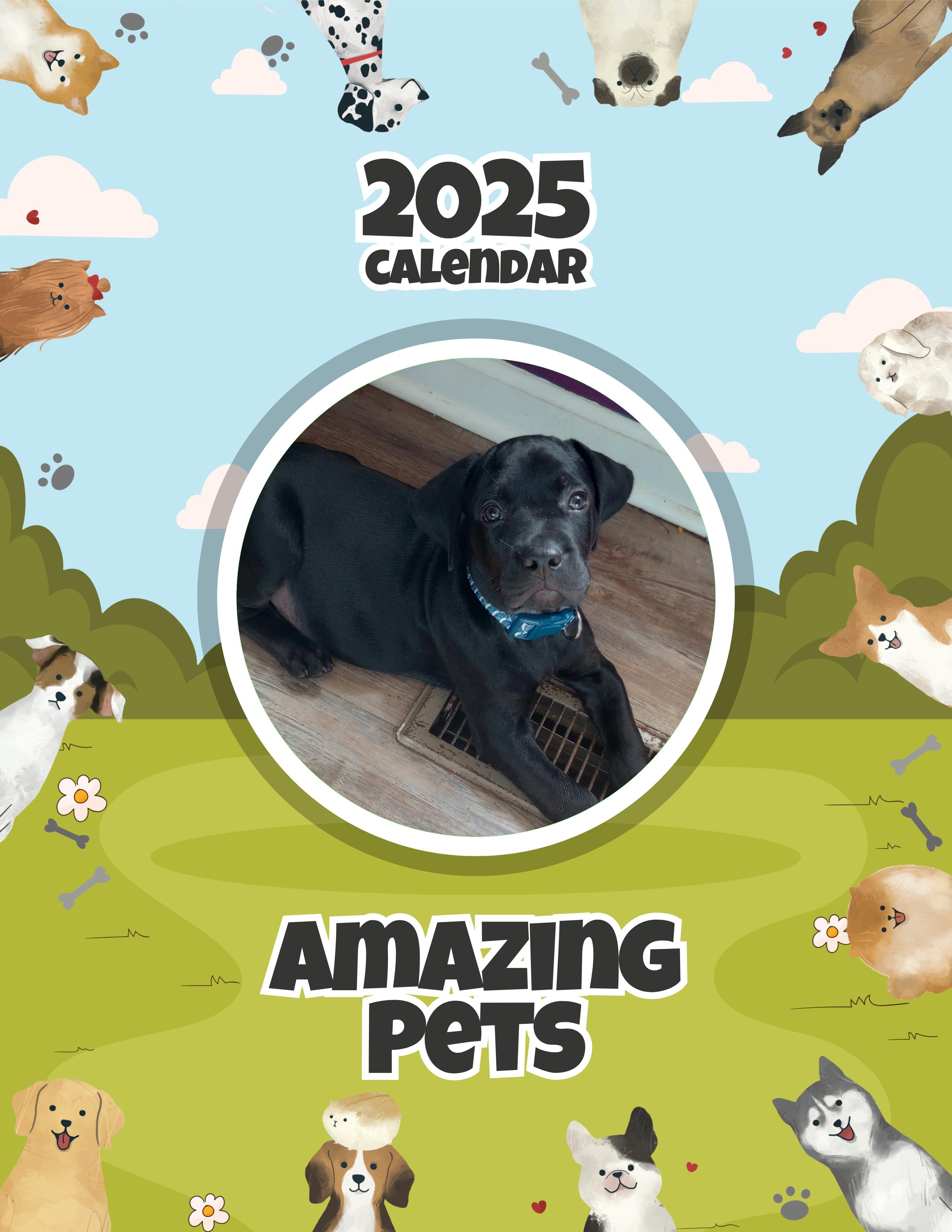 Amazing Pets: 2025 Wall Calendar (Pre-Order)