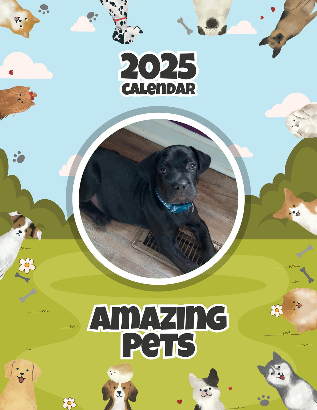 Amazing Pets: 2025 Wall Calendar (Pre-Order)