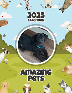 Amazing Pets: 2025 Wall Calendar (Pre-Order)