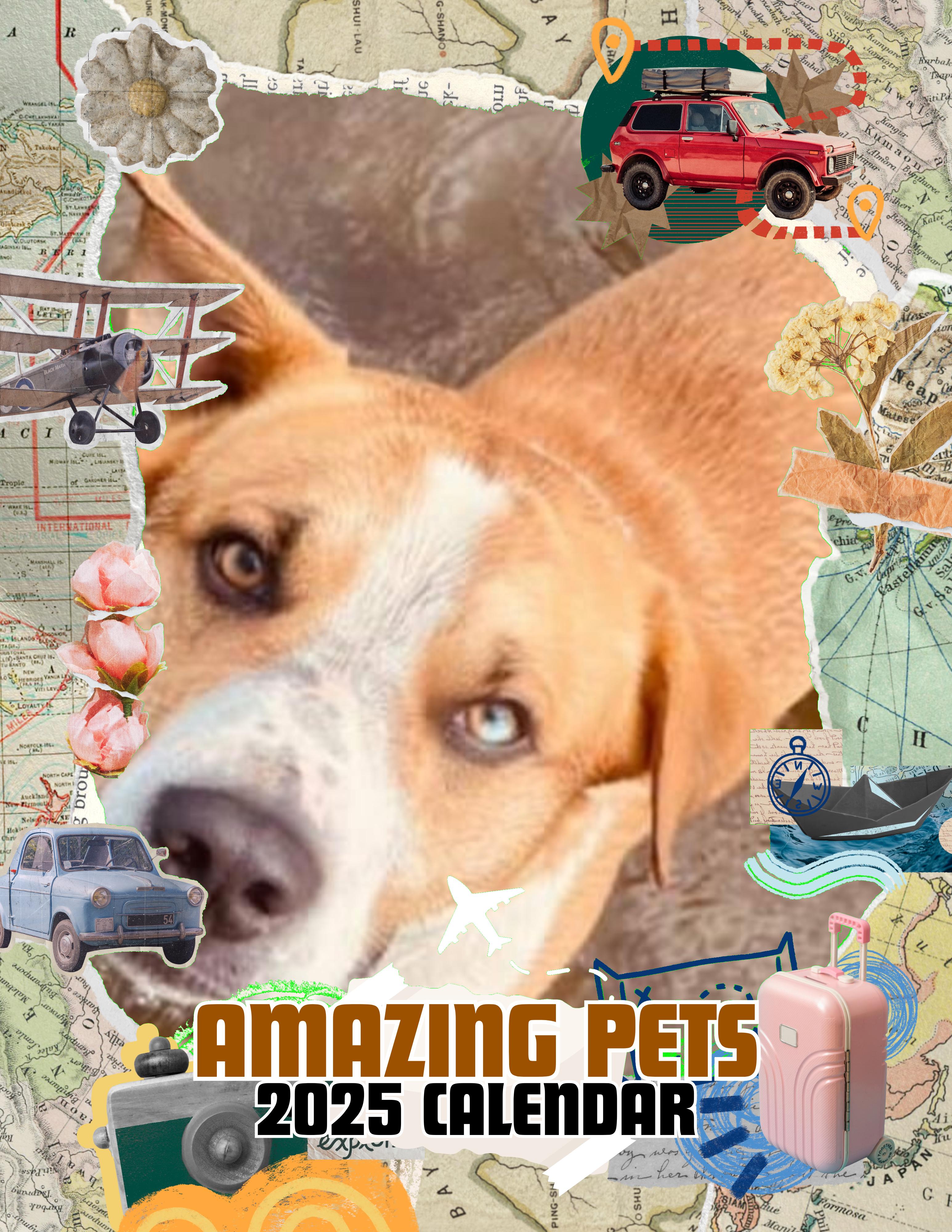 Amazing Pets: 2025 Wall Calendar (Pre-Order)