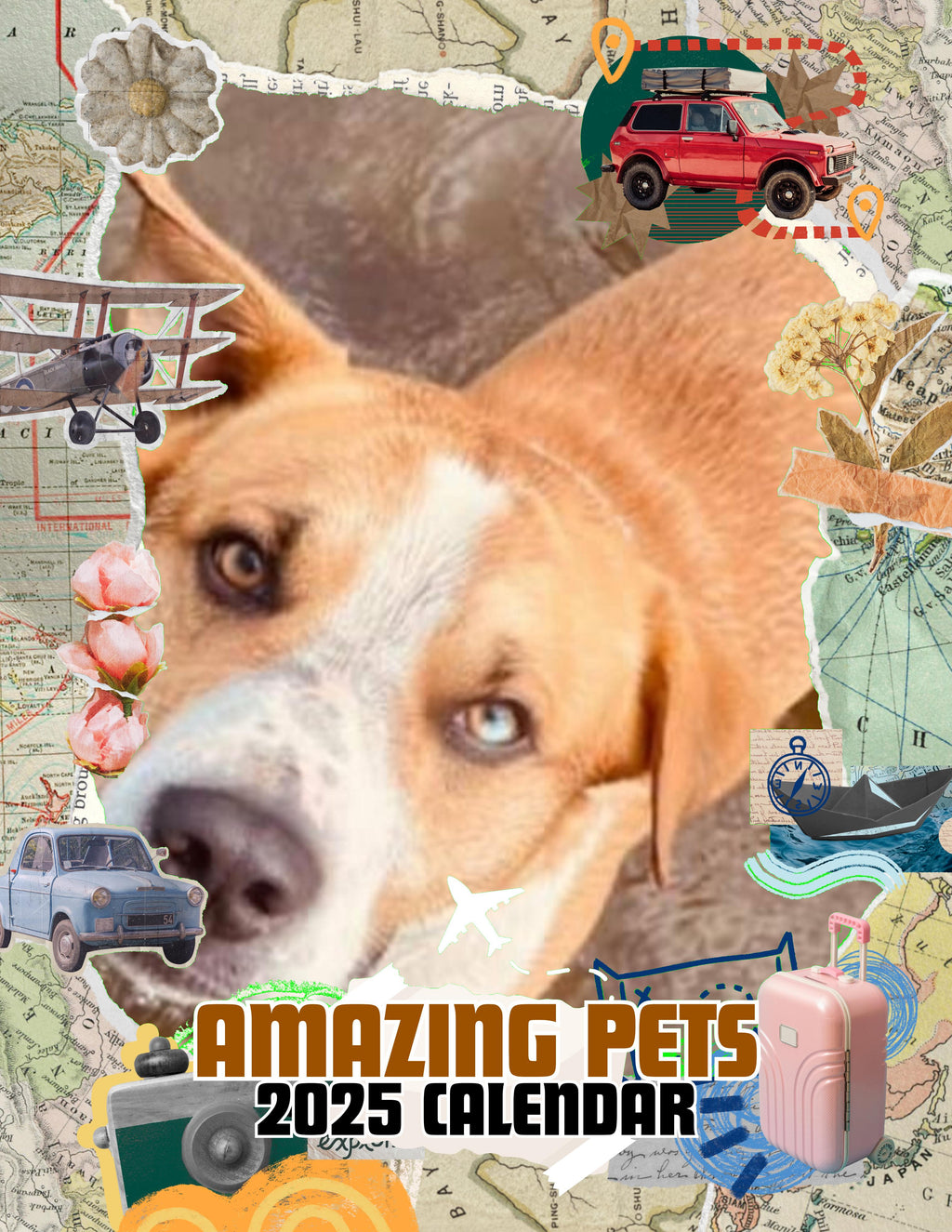 Amazing Pets: 2025 Wall Calendar (Pre-Order)