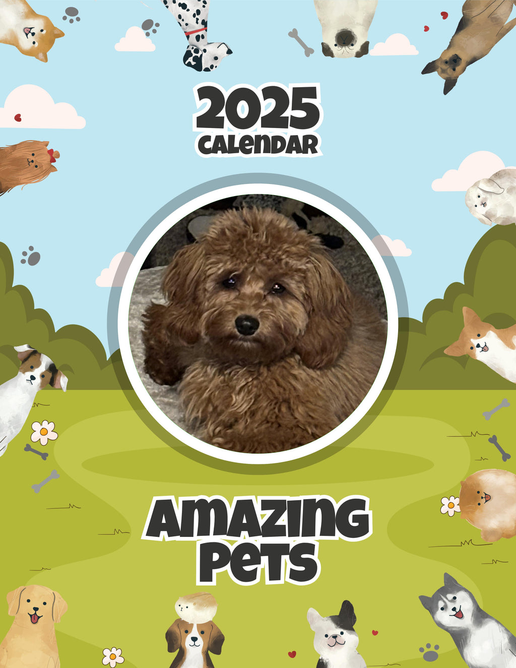 Amazing Pets: 2025 Wall Calendar (Pre-Order)