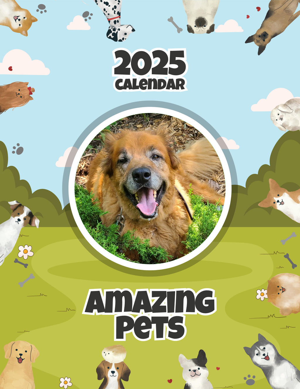Amazing Pets: 2025 Wall Calendar (Pre-Order)