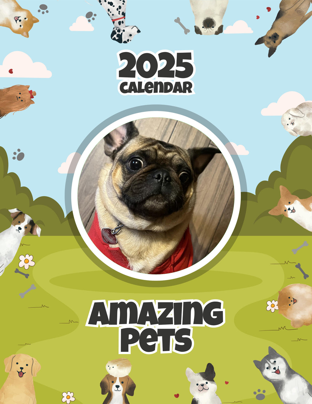 Amazing Pets: 2025 Wall Calendar (Pre-Order)