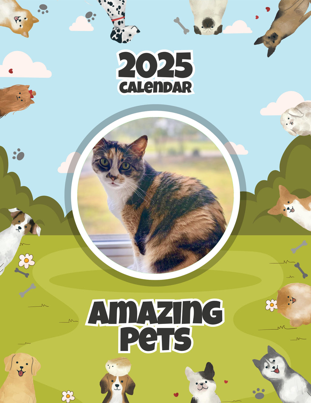Amazing Pets: 2025 Wall Calendar (Pre-Order)