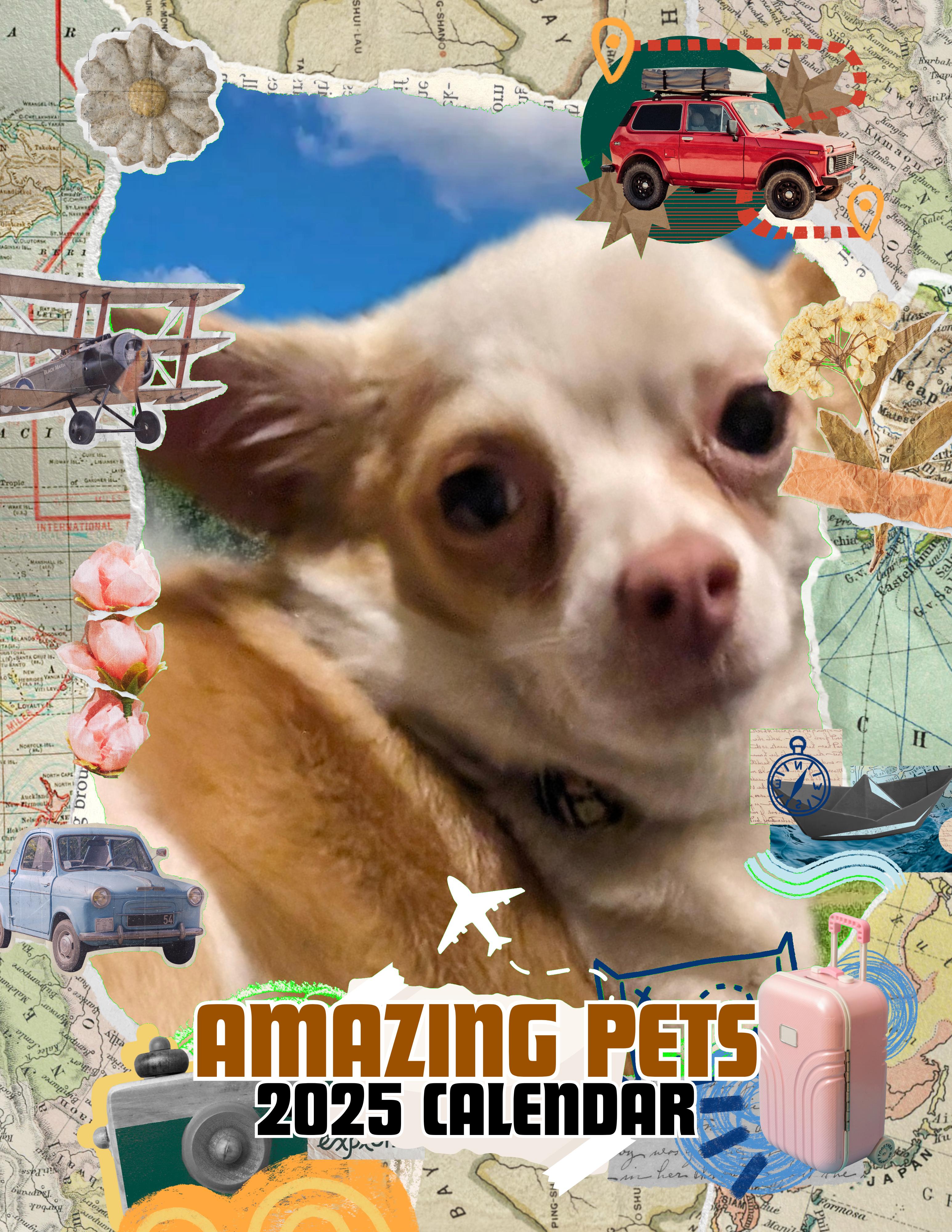 Amazing Pets: 2025 Wall Calendar (Pre-Order)