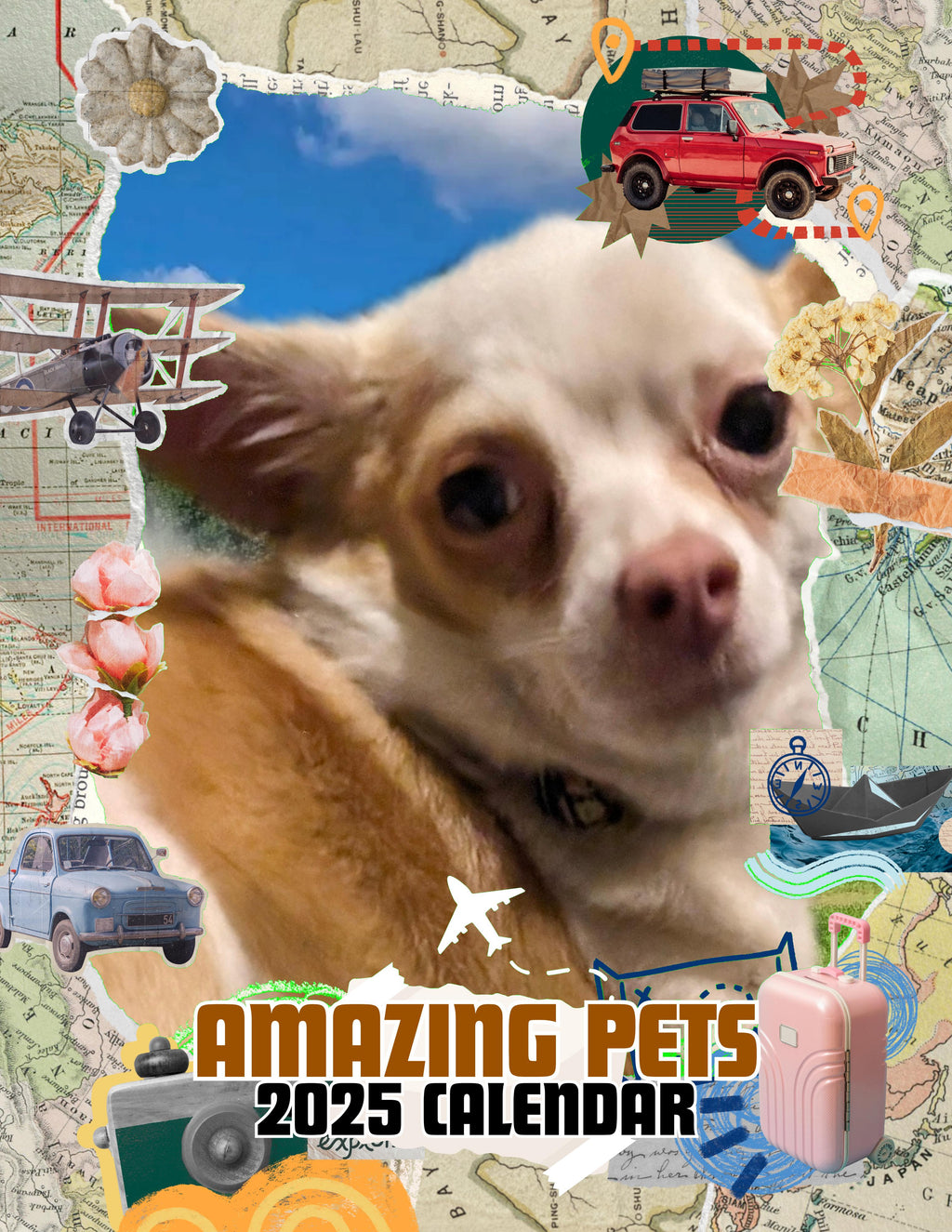 Amazing Pets: 2025 Wall Calendar (Pre-Order)