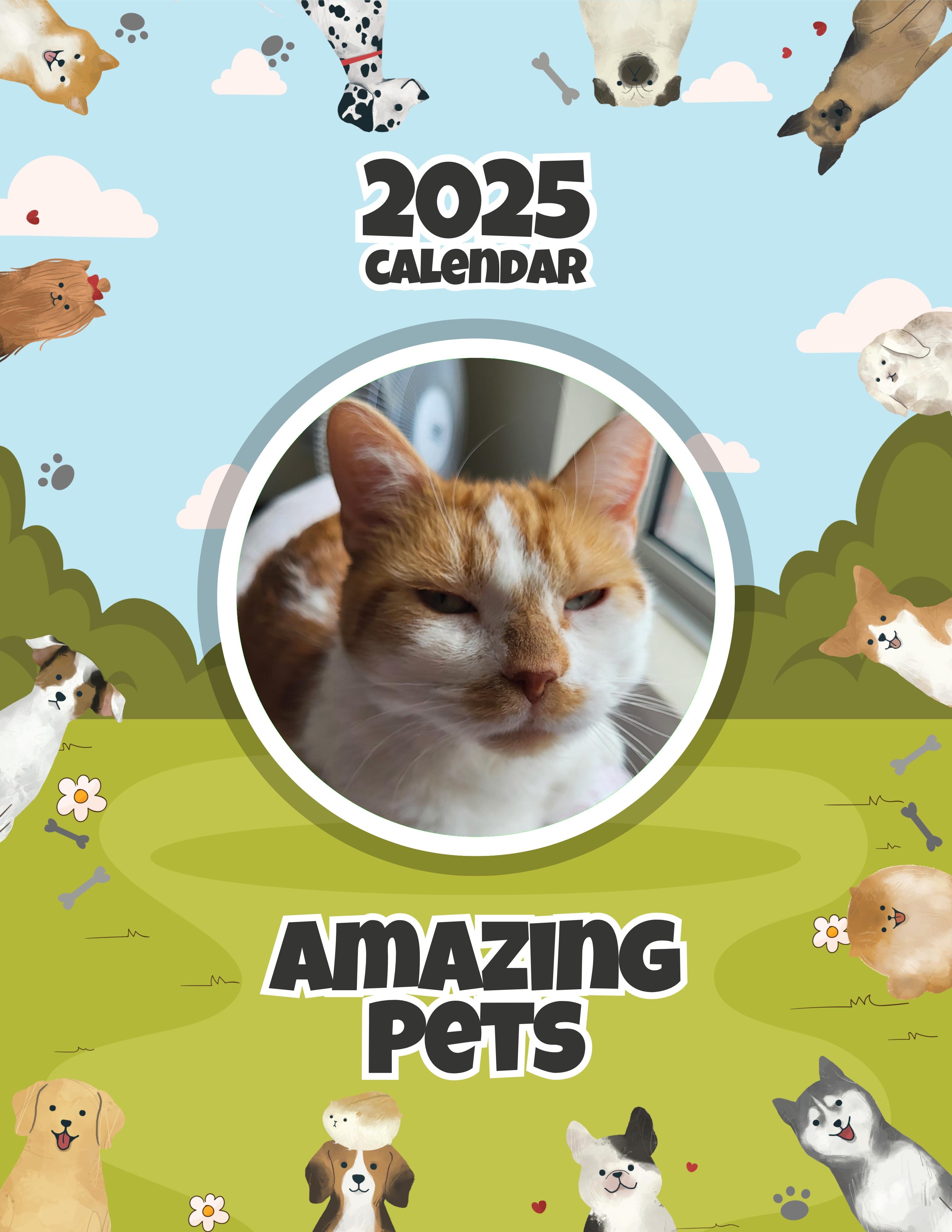 Amazing Pets: 2025 Wall Calendar (Pre-Order)