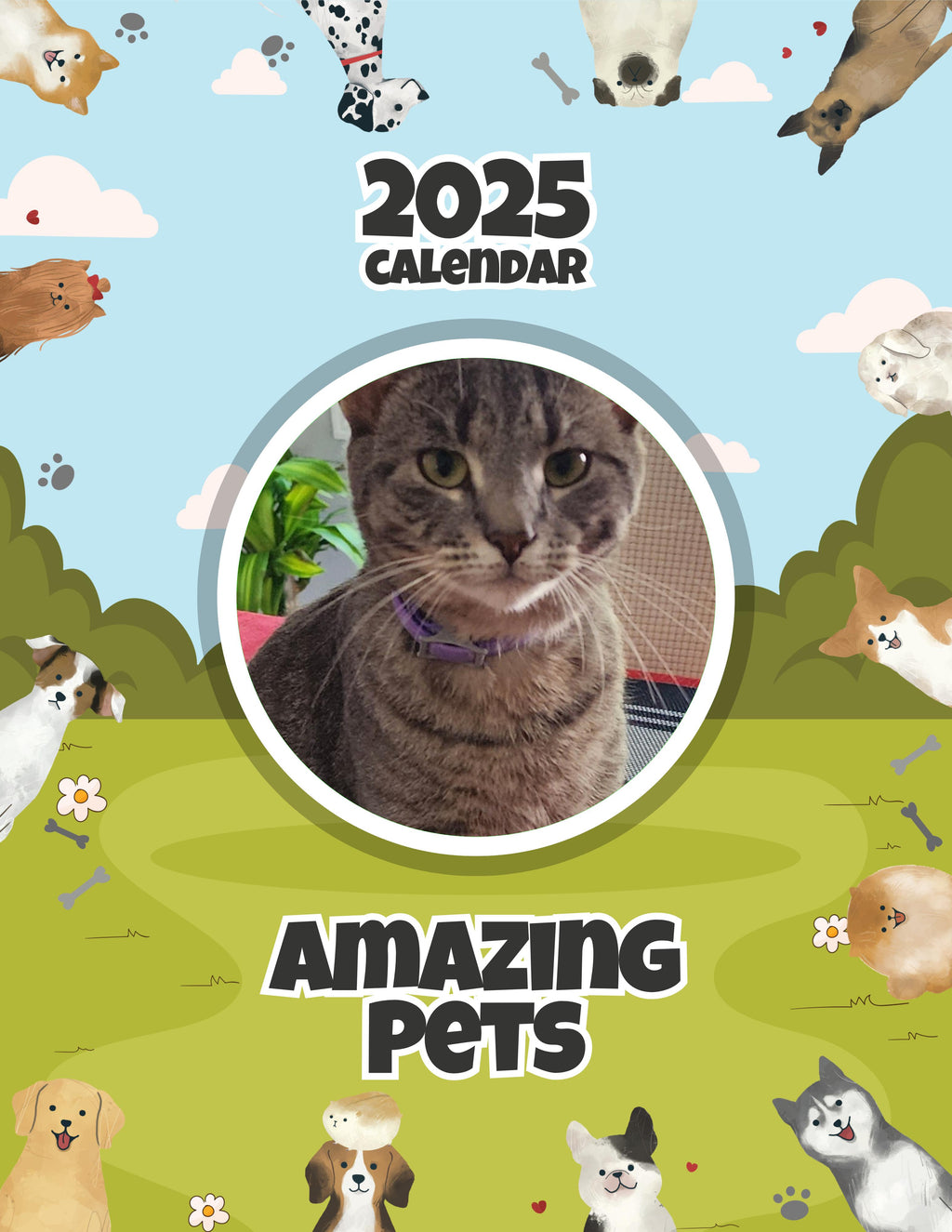 Amazing Pets: 2025 Wall Calendar (Pre-Order)