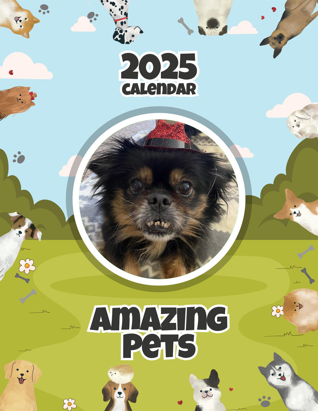 Amazing Pets: 2025 Wall Calendar (Pre-Order)