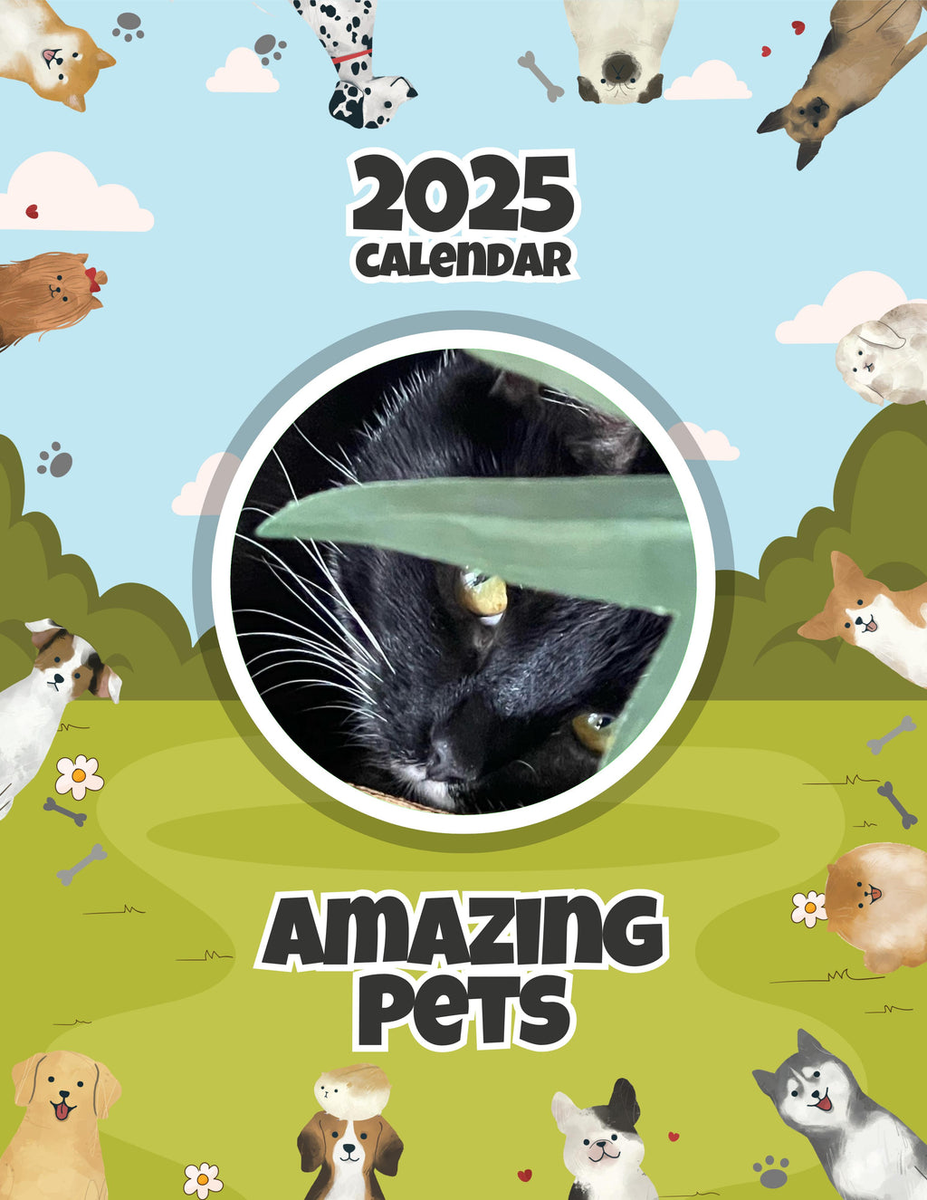 Amazing Pets: 2025 Wall Calendar (Pre-Order)