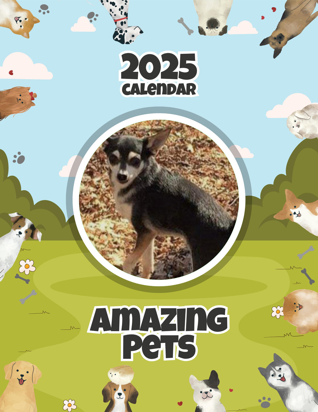 Amazing Pets: 2025 Wall Calendar (Pre-Order)
