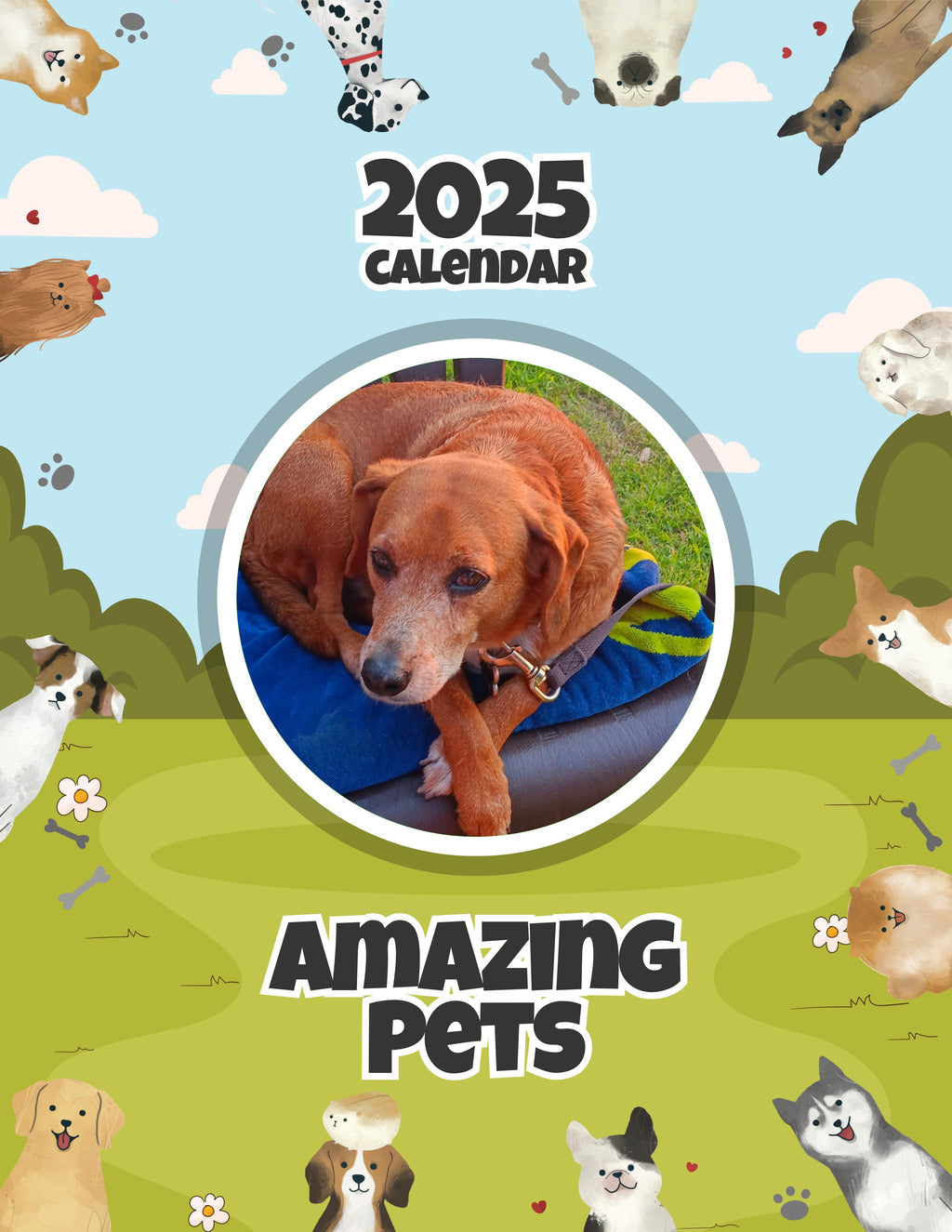 Amazing Pets: 2025 Wall Calendar (Pre-Order)