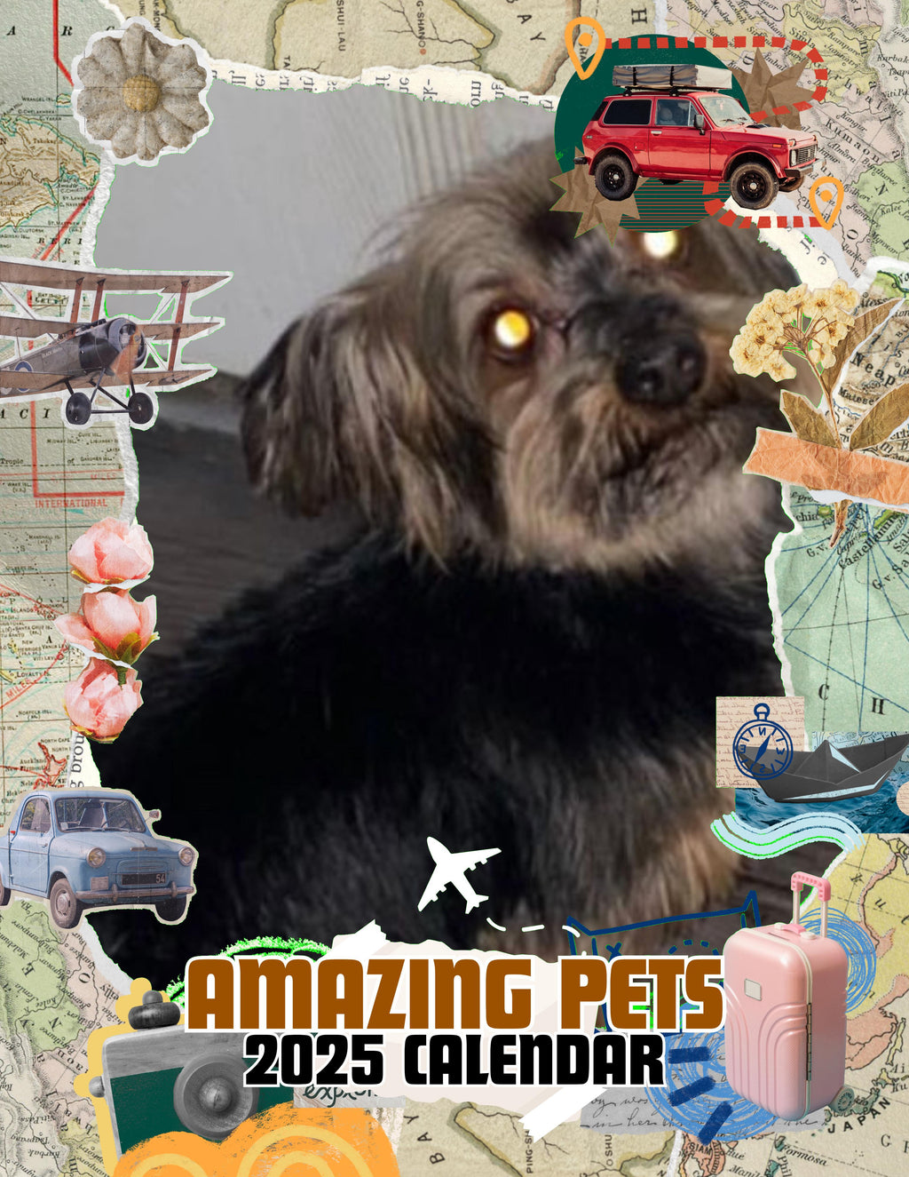 Amazing Pets: 2025 Wall Calendar (Pre-Order)
