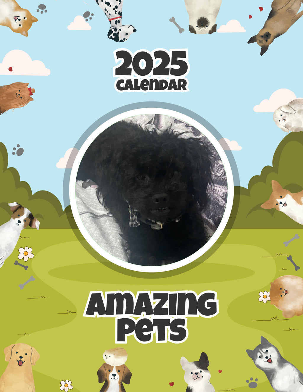 Amazing Pets: 2025 Wall Calendar (Pre-Order)