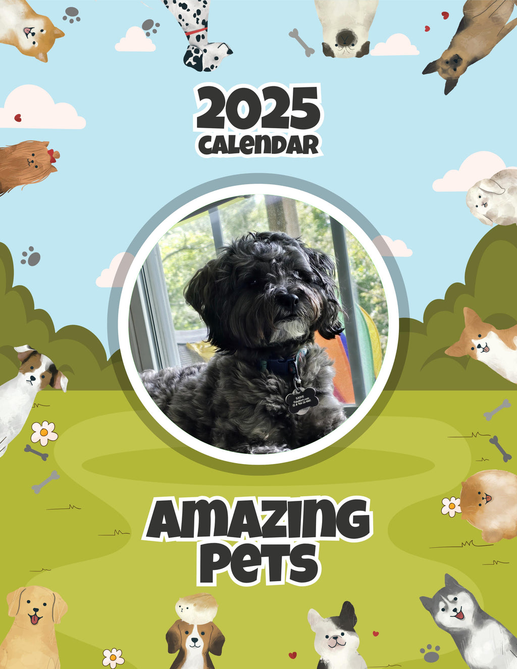 Amazing Pets: 2025 Wall Calendar (Pre-Order)