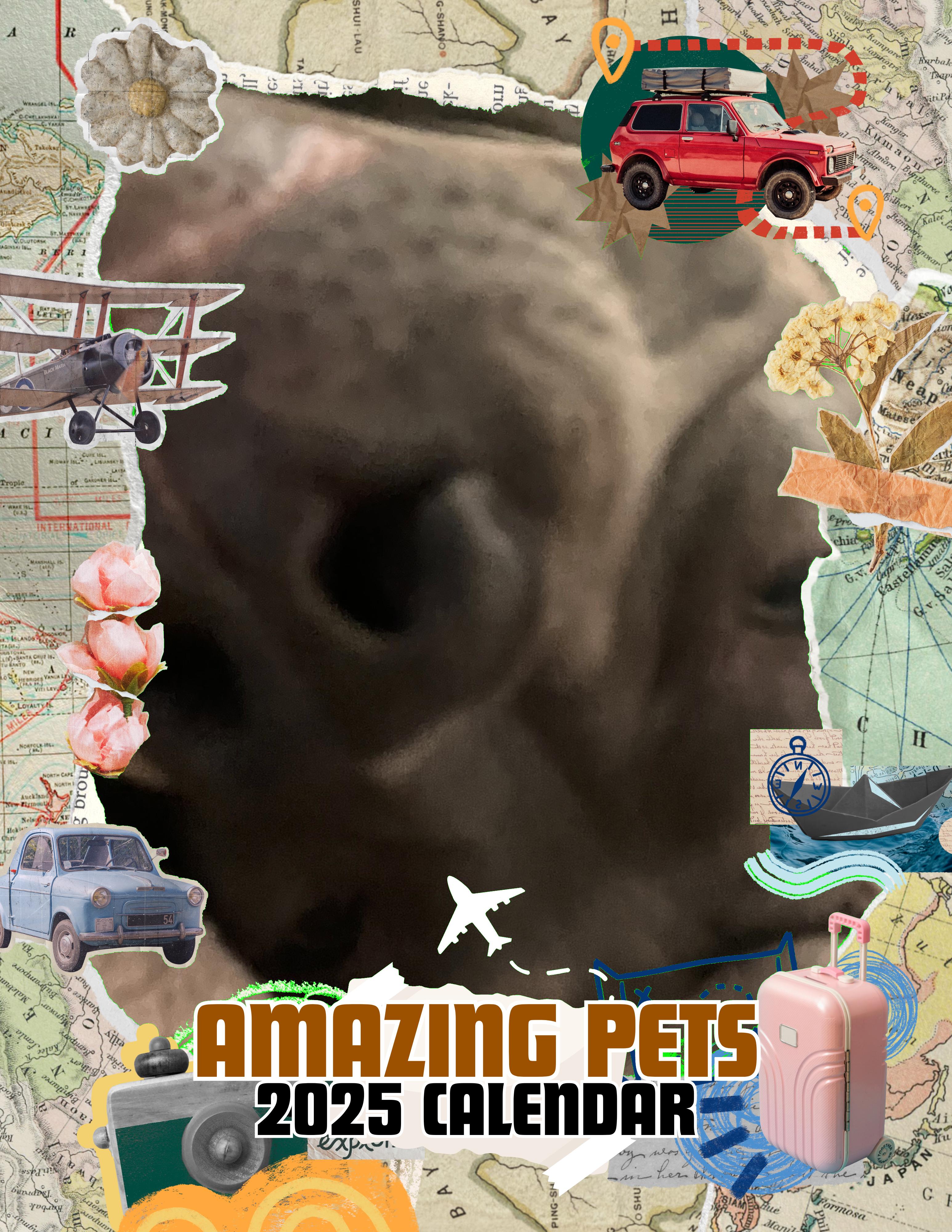 Amazing Pets: 2025 Wall Calendar (Pre-Order)