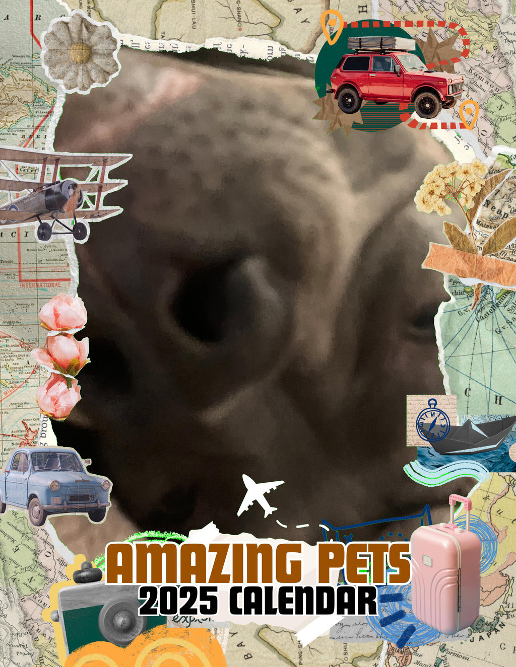 Amazing Pets: 2025 Wall Calendar (Pre-Order)