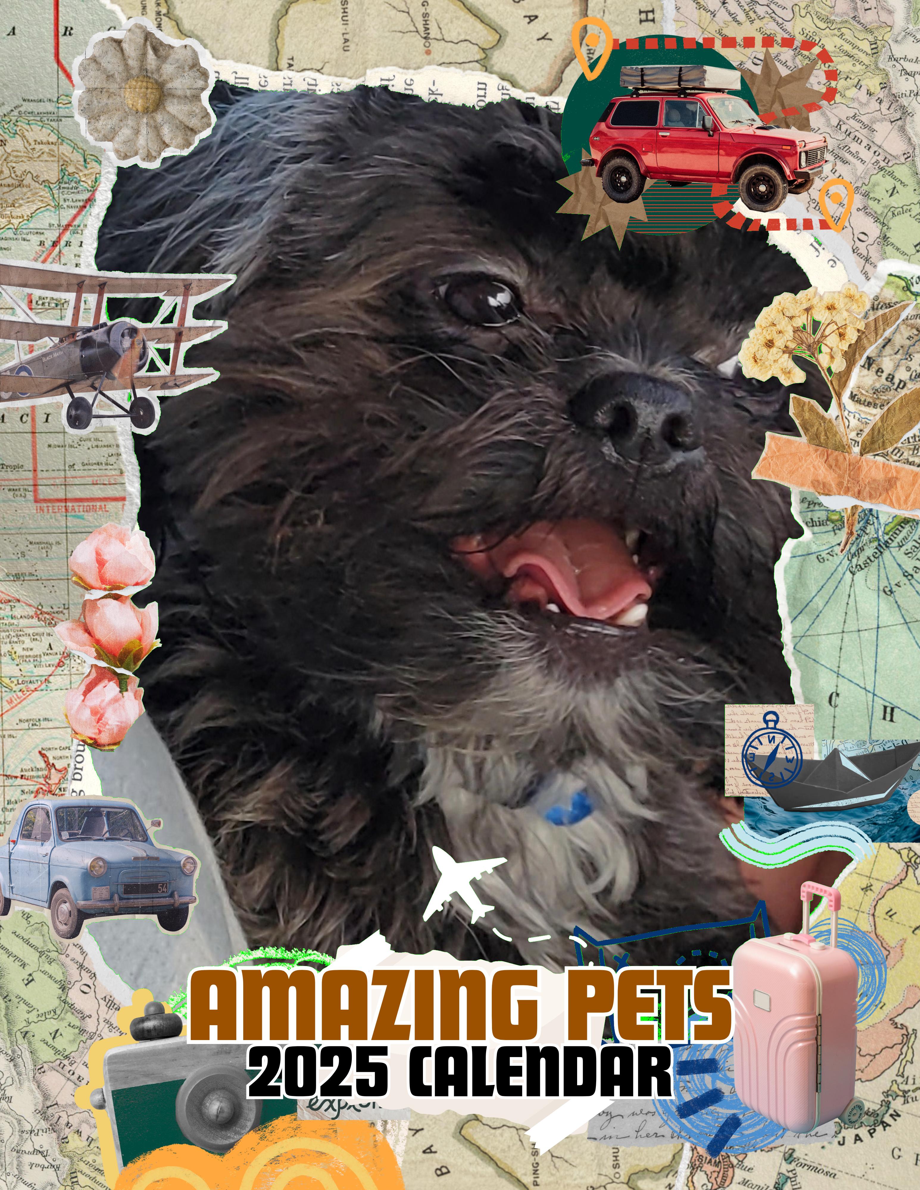 Amazing Pets: 2025 Wall Calendar (Pre-Order)