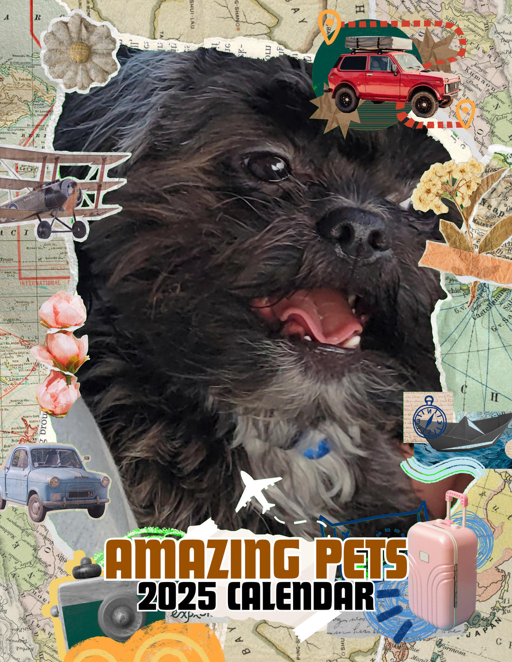Amazing Pets: 2025 Wall Calendar (Pre-Order)