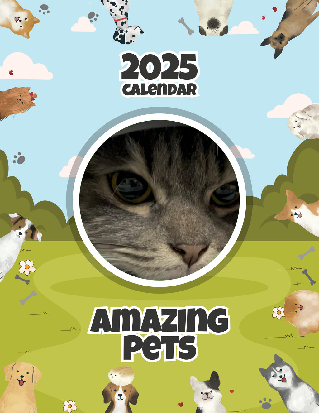 Amazing Pets: 2025 Wall Calendar (Pre-Order)