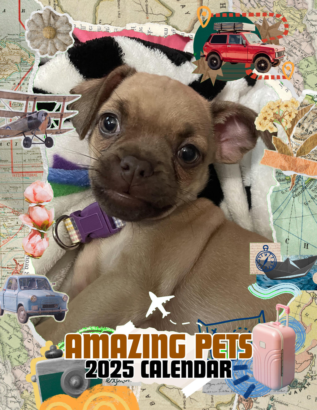 Amazing Pets: 2025 Wall Calendar (Pre-Order)