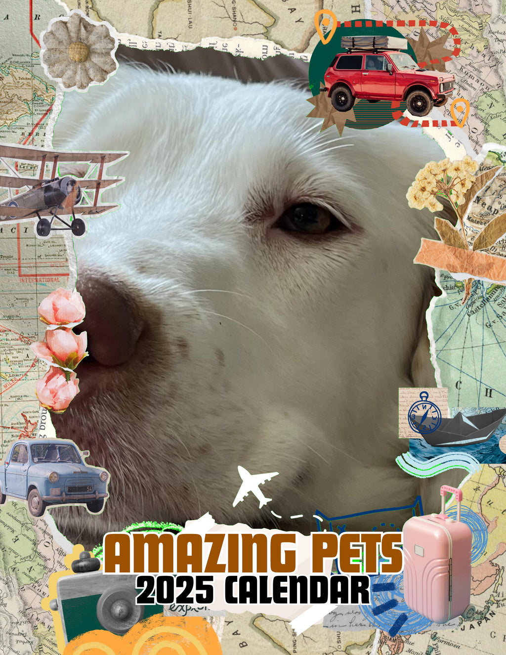 Amazing Pets: 2025 Wall Calendar (Pre-Order)