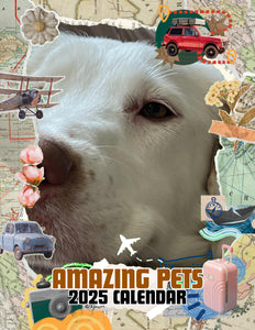 Amazing Pets: 2025 Wall Calendar (Pre-Order)