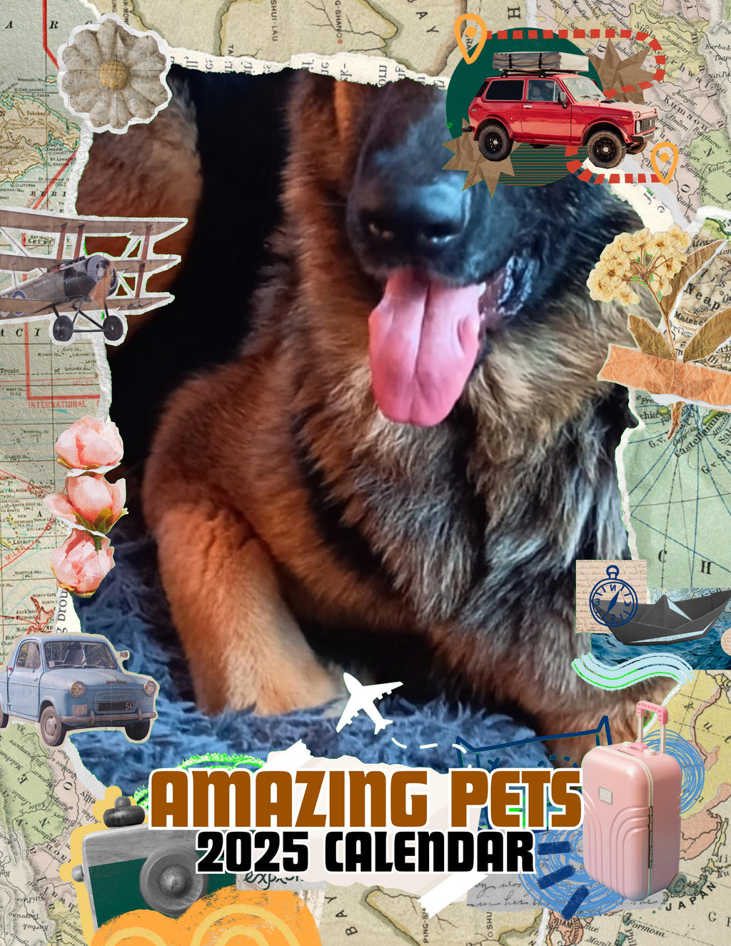 Amazing Pets: 2025 Wall Calendar (Pre-Order)