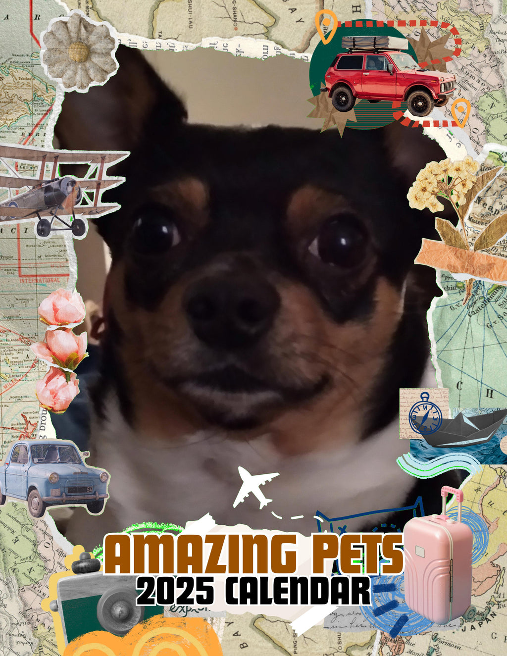 Amazing Pets: 2025 Wall Calendar (Pre-Order)