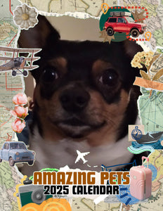 Amazing Pets: 2025 Wall Calendar (Pre-Order)