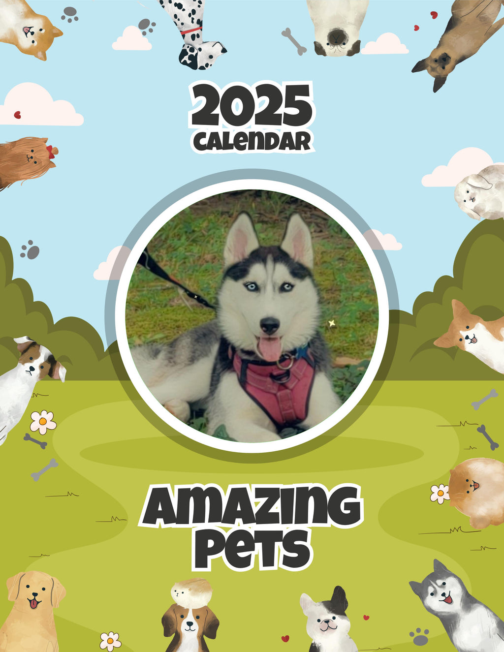 Amazing Pets: 2025 Wall Calendar (Pre-Order)