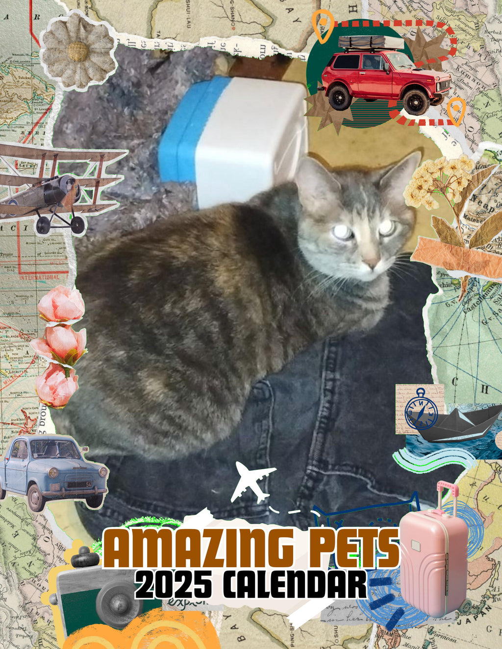 Amazing Pets: 2025 Wall Calendar (Pre-Order)