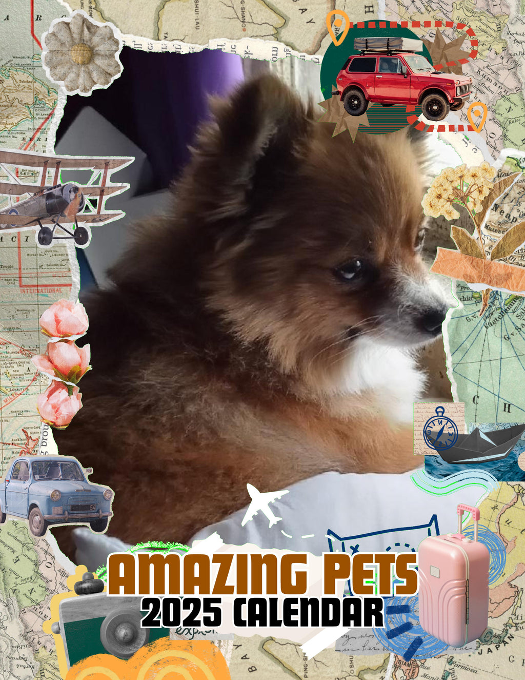 Amazing Pets: 2025 Wall Calendar (Pre-Order)