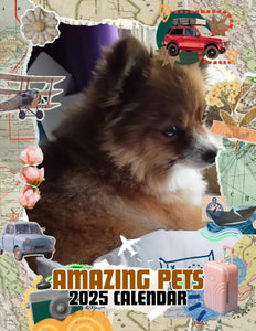 Amazing Pets: 2025 Wall Calendar (Pre-Order)