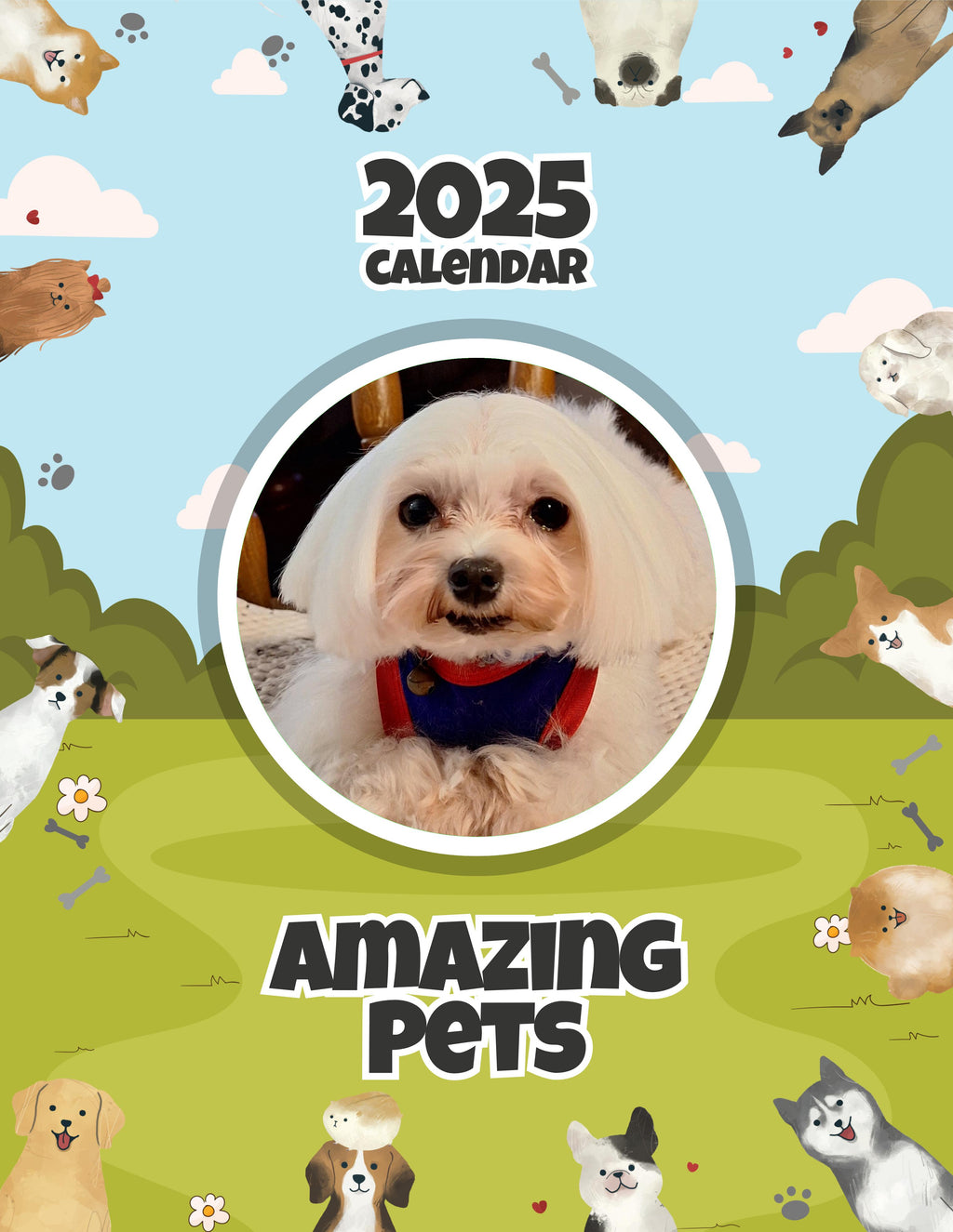 Amazing Pets: 2025 Wall Calendar (Pre-Order)